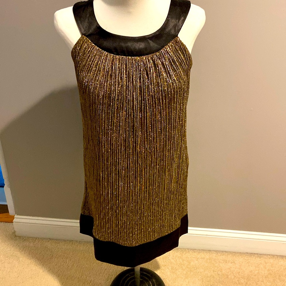 Gold/Black Dress
